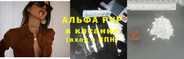стаф Аркадак