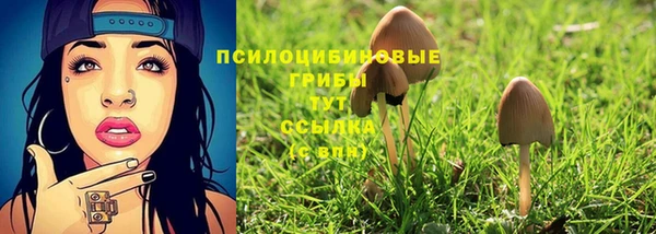 дурь Балахна
