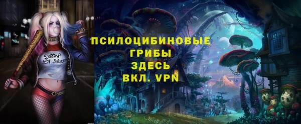 гашик Баксан