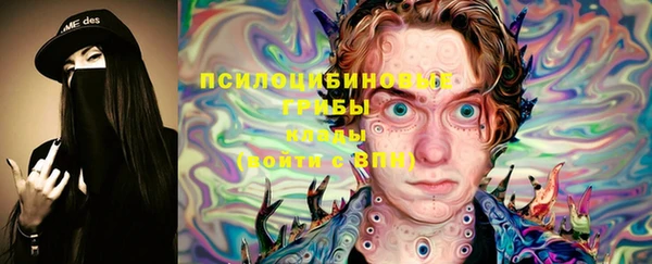 гашик Баксан
